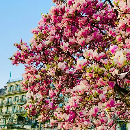 Des Trois Couronnes & - The Leading Of The World Hotel Vevey