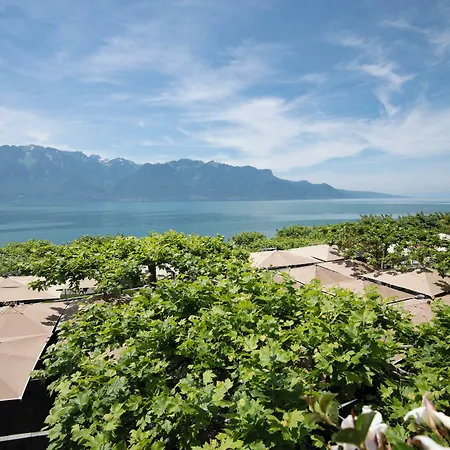 Des Trois Couronnes & - The Leading Of The World 5* Vevey