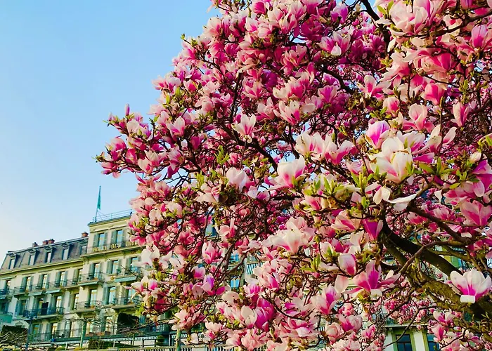 Des Trois Couronnes & - The Leading Of The World Hotel Vevey