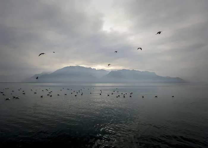 Hotel Des Trois Couronnes & - The Leading Of The World Vevey