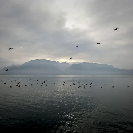 Szálloda Des Trois Couronnes & - The Leading Of The World Vevey